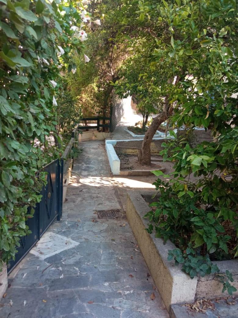 Utopia 3 * Aegina